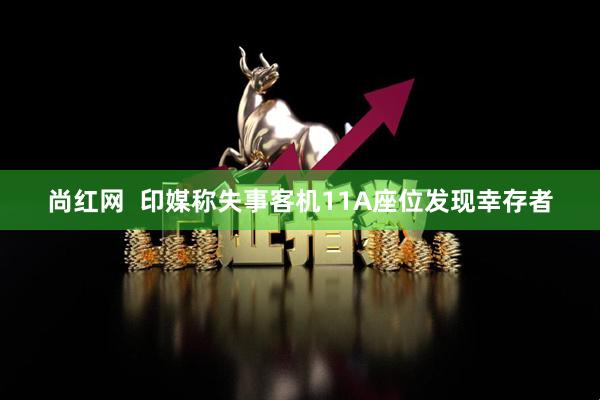 尚红网  印媒称失事客机11A座位发现幸存者